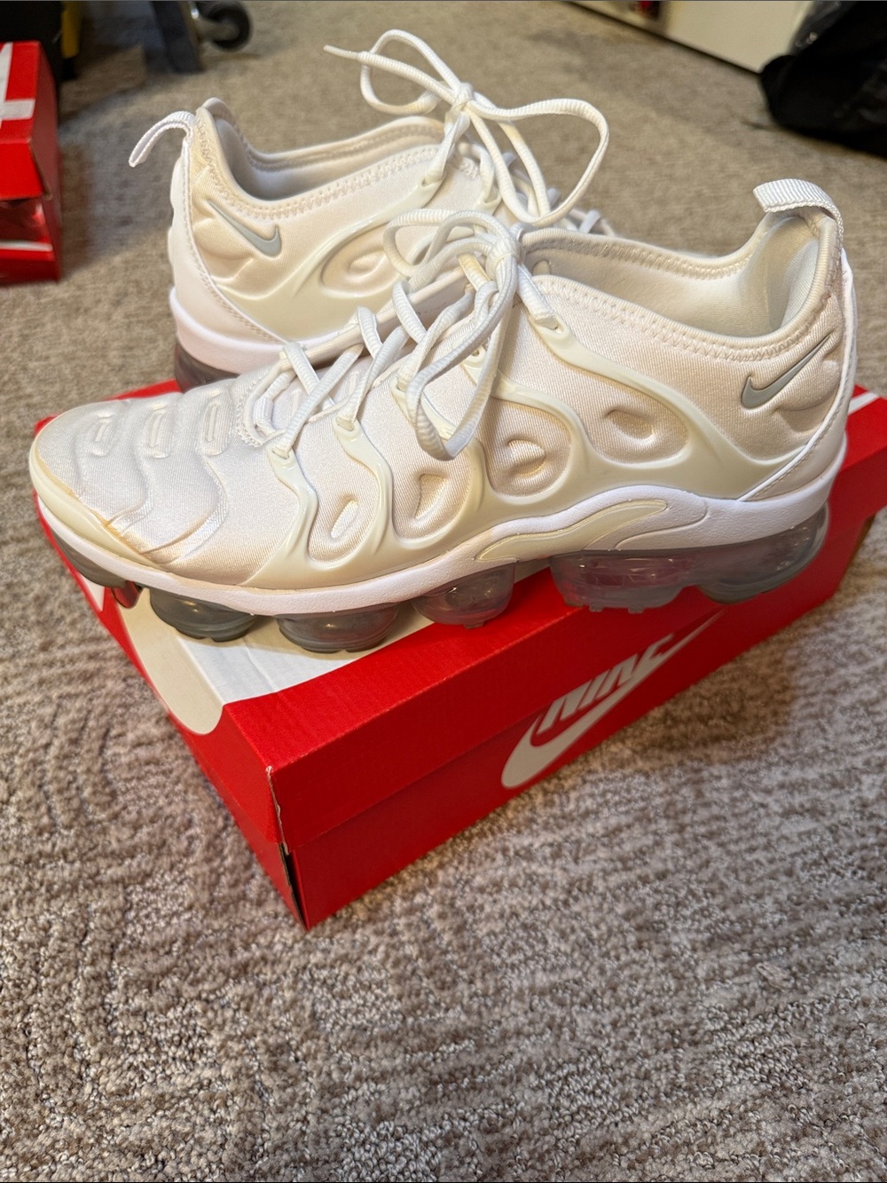 Nike Air Vapormax Plus